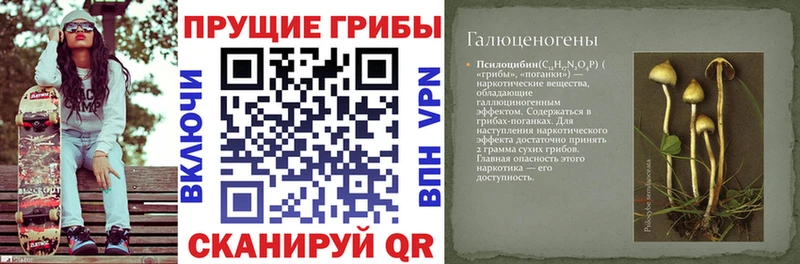 Галлюциногенные грибы GOLDEN TEACHER  Пойковский 